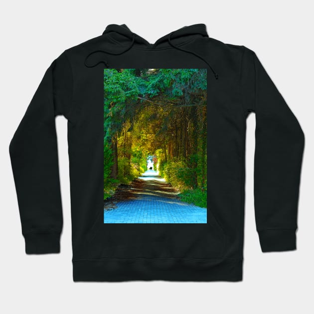 Through the Forest and Into the Light Hoodie by ninasilver